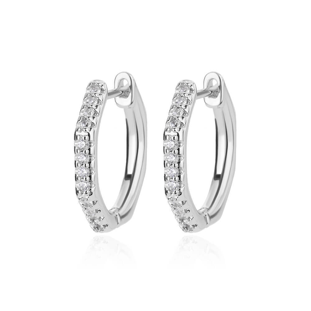 Women's Light Luxury And Simplicity Special-interest Earrings