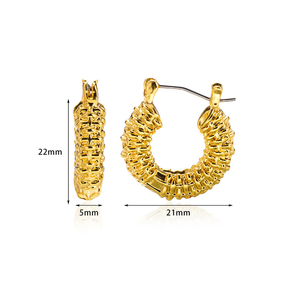 Women's Light Luxury And Simplicity Special-interest Earrings