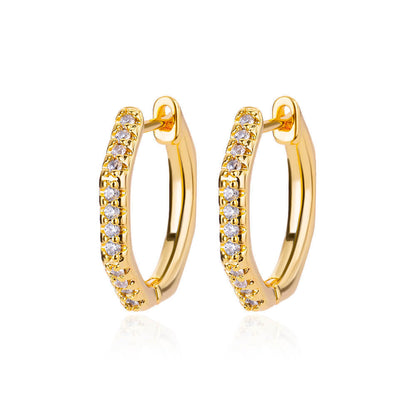 Women's Light Luxury And Simplicity Special-interest Earrings