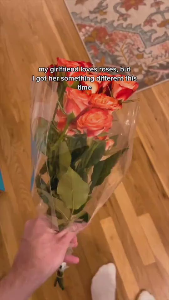 1.mp4